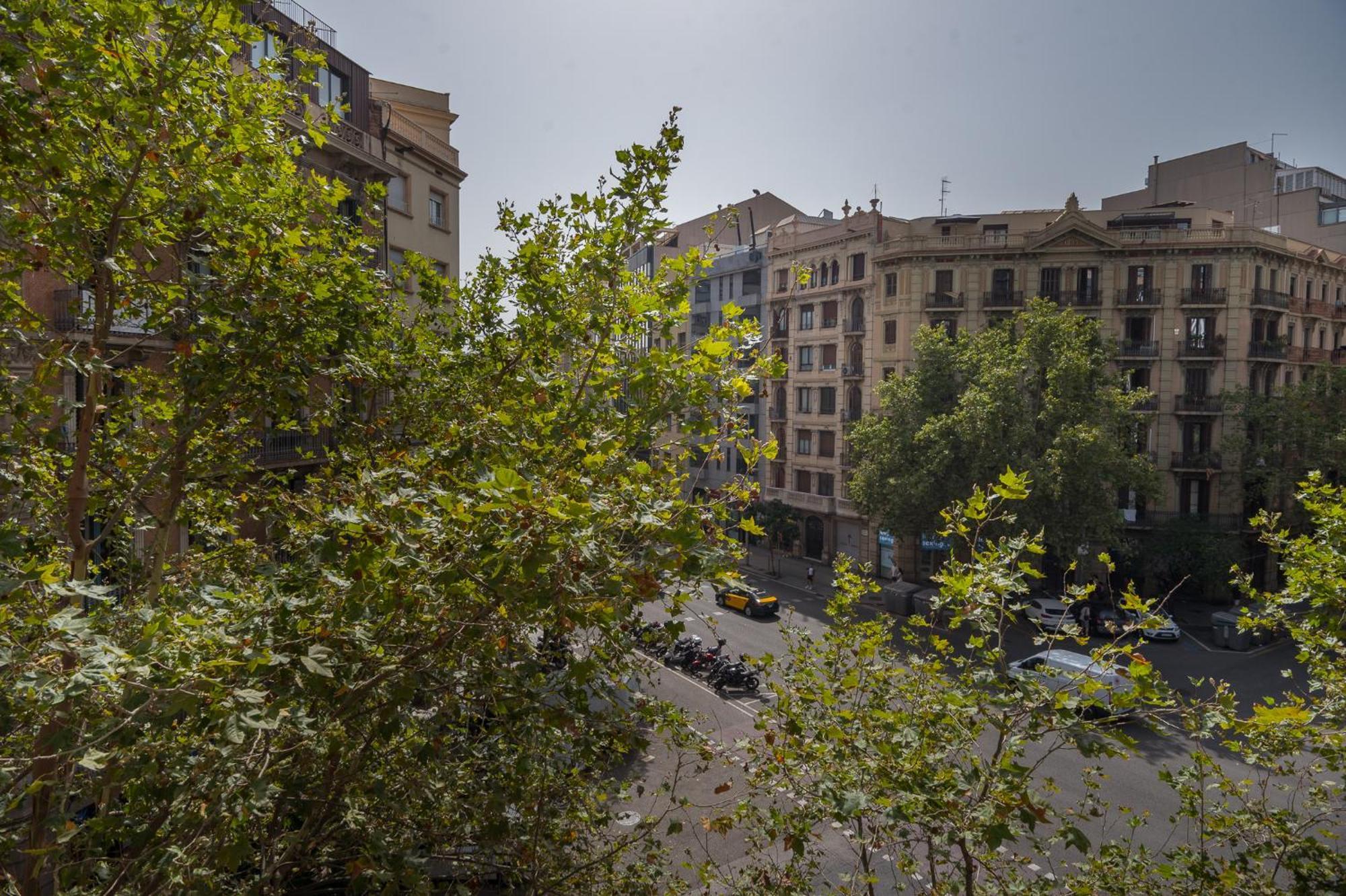 R&b Muntaner Apartament Barcelona